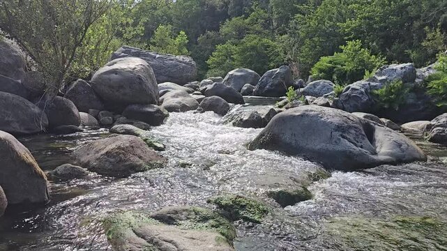Static horizontal shot of a mountain river flowing over rocks with natural rushing water sound near Travo, Corsica.