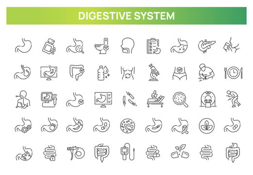 Digestive System Icons Set. Gastroenterology, Stomach, Intestine, Medical Line Icons