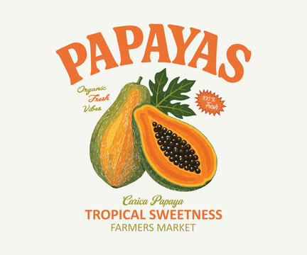 Vintage Papayas Tropical Sweetness Farmers Market Illustration - Retro Organic Fresh Vibes Graphic with Hand-Drawn Whole and Cut Carica Papaya Fruit, Black Seeds, and Leaf - Classic Exotic Grocer Appa