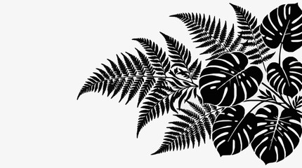 Black and white tropical fern and monstera leaf illustration. © danti