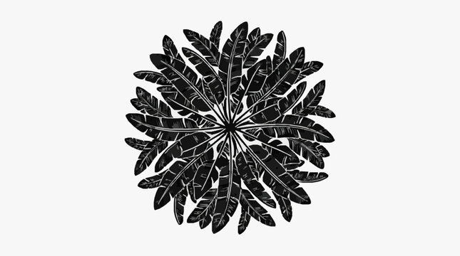 Black and white radial feather pattern design.