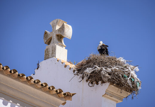 Bird nesting on the top of the Chapel of our Lord of the Afflicted (Capela de Nosso Senhor dos Aflitos), Olh&atilde;o, Algarve, Portugal