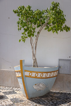 Tree in a boat-shaped planter pot in Olh&atilde;o,  Portugal