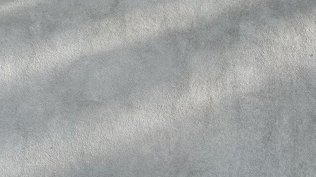 Shadow of tree leaves on raw concrete wall surface with copy space