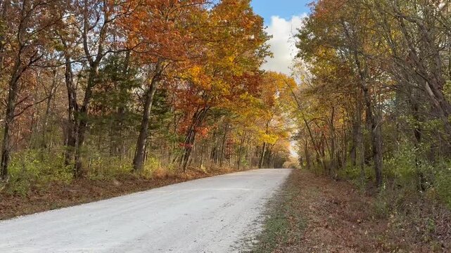 road in autumn forest in rural Missouri with peak color and wind in the leaves