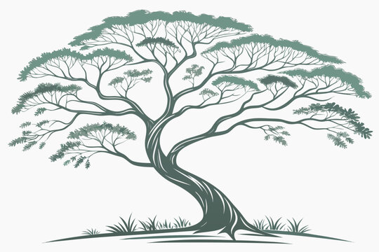 Large tree with sprawling branches and leaves in a vector illustration design