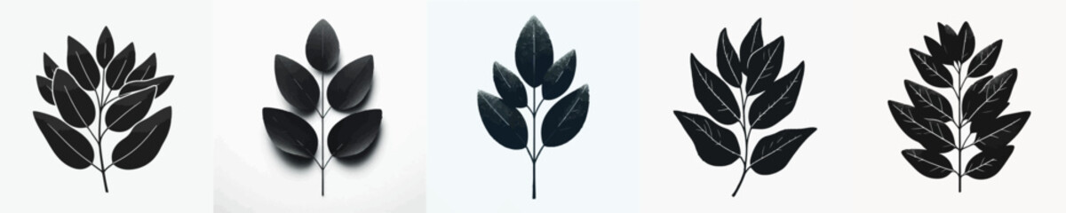 Vector silhouette of eucalyptus leaf © FirdianKrisna
