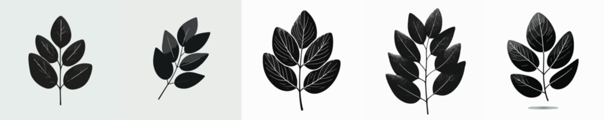 Vector silhouette of eucalyptus leaf © FirdianKrisna
