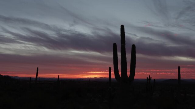 Vibrant AZ Desert Sunset Time-lapse footage With Sunstar And Cactus Silhouette Phoenix Area 