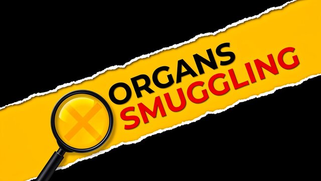 Organ smuggling concept with magnifying glass highlighting illegal trafficking