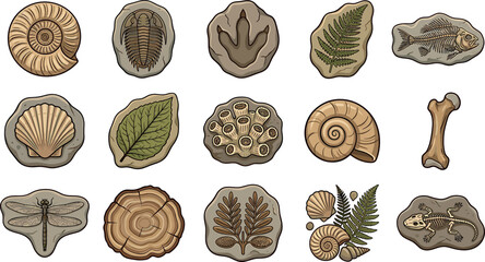 Prehistoric fossil and paleontology vector icon set featuring ammonite trilobite dinosaur footprint fish skeleton and ancient leaves © ALOMGIR