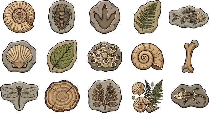 Prehistoric fossil and paleontology vector icon set featuring ammonite trilobite dinosaur footprint fish skeleton and ancient leaves