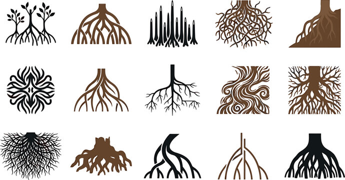 Tree root vector illustration set featuring mangrove prop roots underground plant systems and organic nature design elements