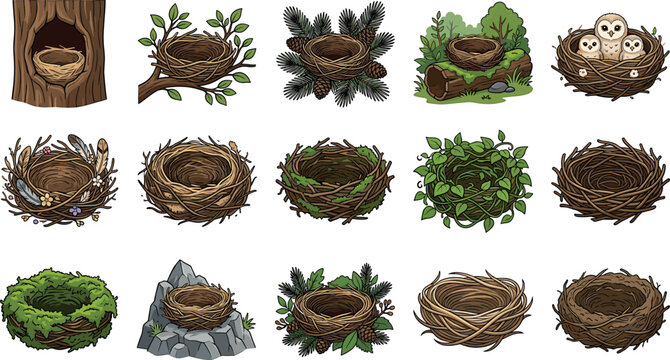 Bird nest vector illustration set featuring empty twig nests baby owls forest habitats and cozy nature design elements
