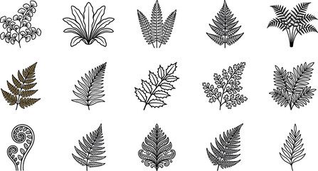 Black and white fern leaves line art icon set featuring botanical fronds tropical foliage and jungle plant silhouettes © ALOMGIR