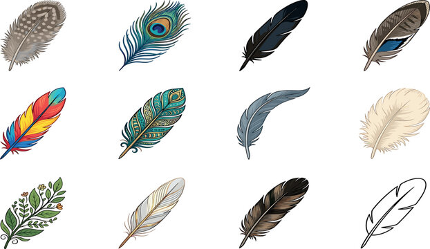 Colorful bird feathers vector set featuring bohemian peacock ornate patterns watercolor style and isolated graphic design elements