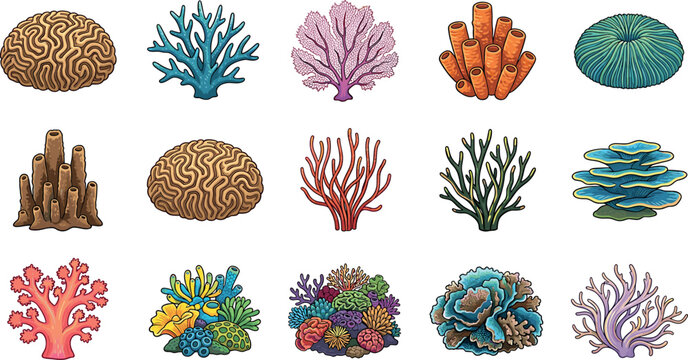 Coral reef vector illustration set featuring various sea polyps brain corals sea fans and underwater marine life elements