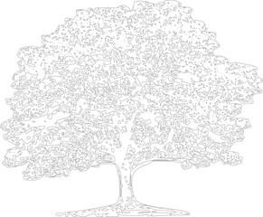Obraz premium Floral Outline Illustrations tree art