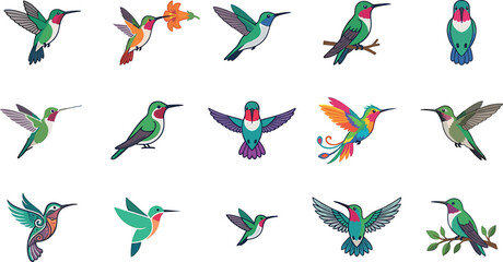 Hummingbird vector illustration set featuring various colorful flying perched exotic birds and tropical wildlife design icons © ALOMGIR
