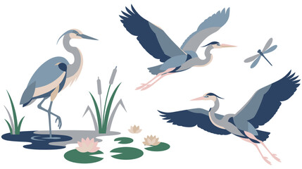 Great blue herons flying and standing in swamp with lotus flowers nature. © SABIKUNNAHAR