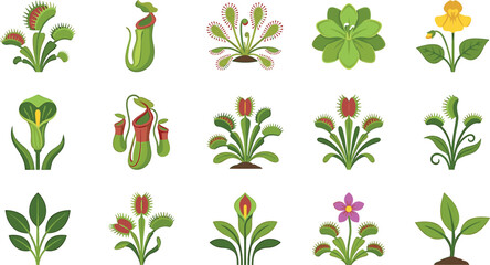 Vector illustration set of carnivorous plants including venus flytraps, pitcher plants, and sundews isolated on white background for botanical design. © ALOMGIR