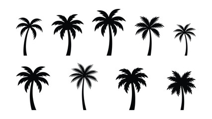 Black palm tree silhouettes © NasimaAktar
