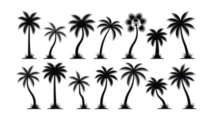 Naklejka premium Black palm tree silhouettes on white background