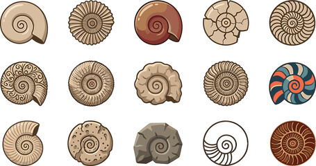 Vector illustration set of ancient ammonite fossils and spiral prehistoric snail shells isolated on white background for paleontology design. © ALOMGIR