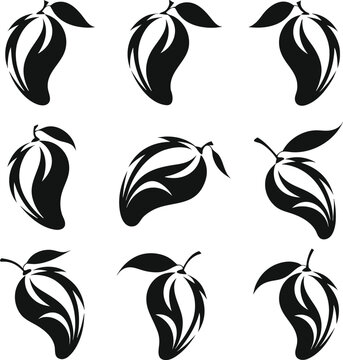 Black and White Leaf Nature Icon Vector Set with Eco Plant Tree Branch Floral Symbol Collection for Organic Ecology Design and Seamless Decoration