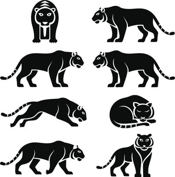 Black Panther Tiger Leopard and Wild Animal Silhouette Vector Set Collection with Mammal Wildlife Icons Isolated on White Background