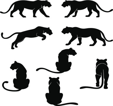 Black and White Animal Silhouette Vector Set Collection with Horse Cat Dog Tiger Bear Elephant Kangaroo and Wild Farm Mammal Illustrations Isolated on White Background