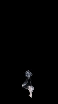 Thin, wispy smoke rising slowly, alpha channel for transparent background, orthographic vertical orientation perfect for texture maps and shaders, 4k 24p