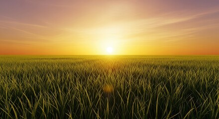 Fototapeta premium Intense golden hour light streaming over a lush green meadow, creating long shadows and a warm, dreamy atmosphere during the peak of summer, peaceful, warmth, season