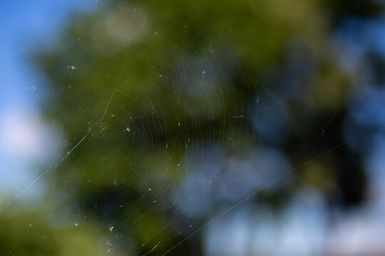Delicate spider web against blurred green and blue background outdoors, natural texture, wildlife detail, abstract nature, quiet garden mood.