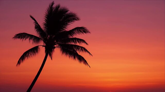 Sunset palm tree silhouette against orange sky with tropical horizon and climate change mood, warm serene tropical sky and calm horizon