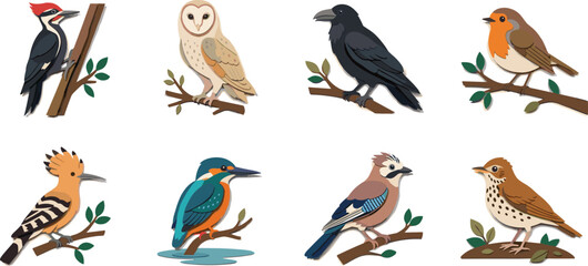 Obraz premium Bird species vector illustration set featuring woodpecker barn owl crow kingfisher and hoopoe icons