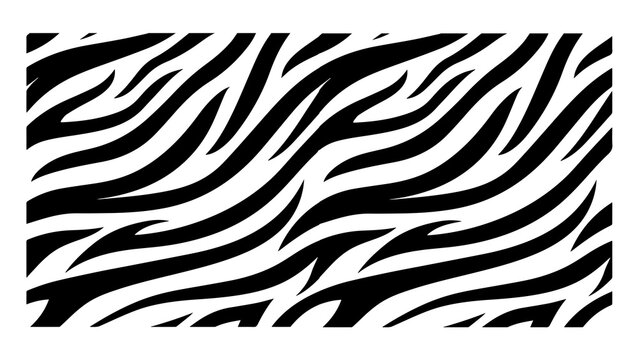 Black and White Zebra Stripe Pattern Background