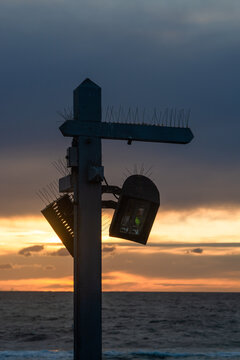 A weathered wooden utility pole with sharp bird spikes stands against a warm orange sunset.