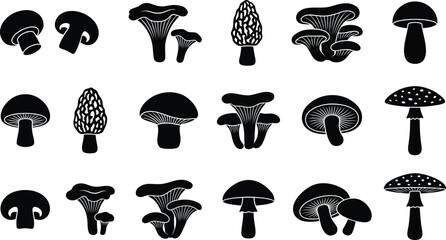 Collection of black silhouette mushroom including champignon, chanterelle, morel, and fly agaric white © GR Graphics