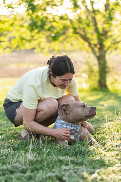 A dog mom playing fetch with her two adopted pitbull dogs in the spring. 