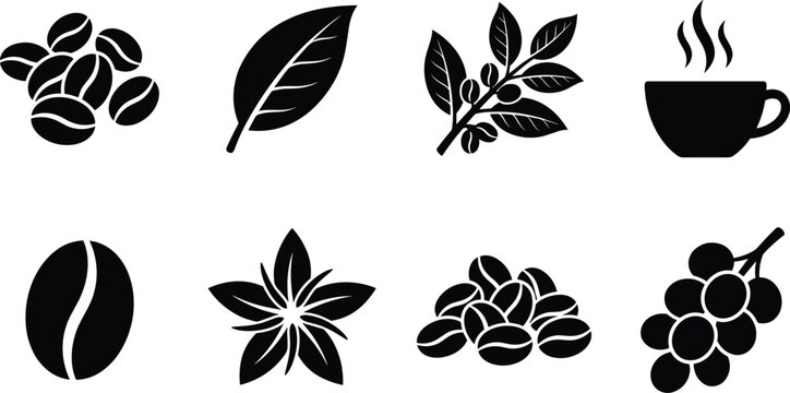 Set of black coffee icons including beans plant branch leaves blossom flower and hot cup silhouette
