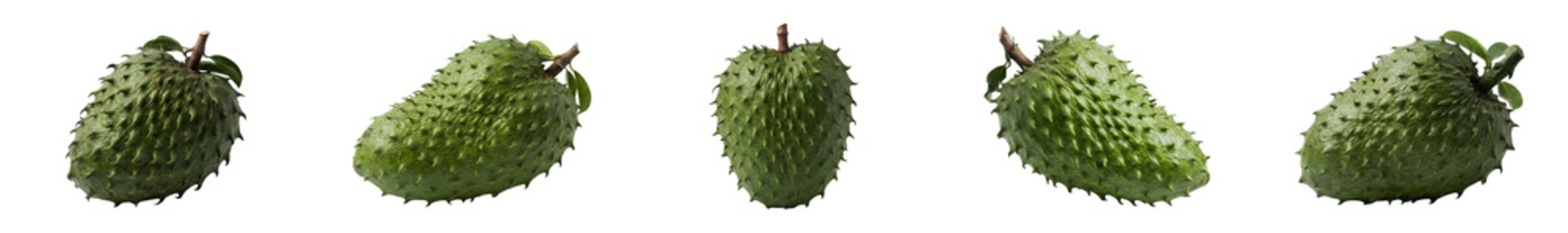the collection set of the five soursop (Annona muricata) on withe background PNG photo high quality''