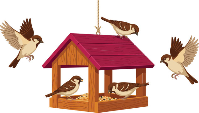 Wooden bird feeder vector illustration with hungry sparrows flying and eating seeds from hanging house for garden wildlife backyard design