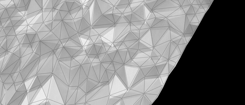 Detailed monochrome geometric pattern with a complex mesh and sharp triangular facets