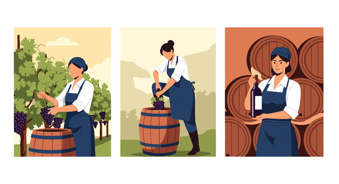 Infographic cards of traditional wine production showing grape harvest, feet stomping, and bottled premium red wine.