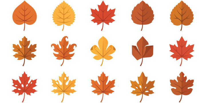 A diverse collection of vibrant autumn leaves vector illustrations, featuring colorful fall foliage in various shapes and warm hues, perfect for seasonal design projects