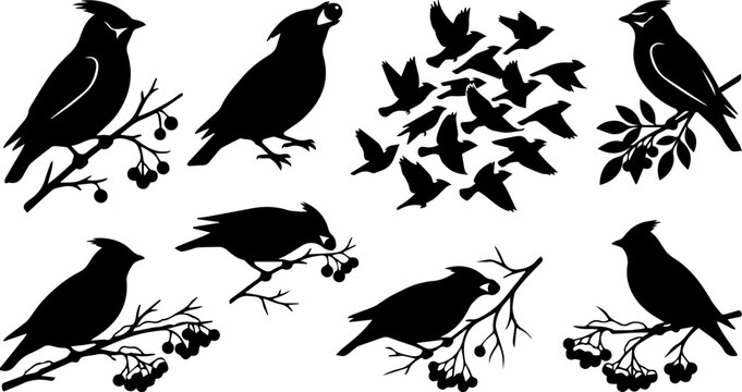 Crow and Raven Bird Silhouette Set &ndash; Flock, Perching, Flying Black Bird, Wildlife Icons
