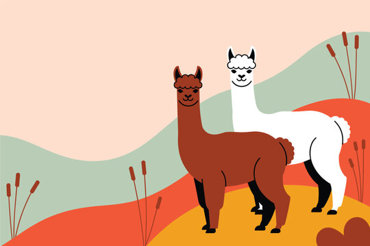 Two alpacas with brown and white wool standing on abstract retro colorful rolling hills vector, livestock agriculture concept