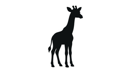 Fototapeta premium Giraffe Silhouette Against A White Background Simple Animal Shape