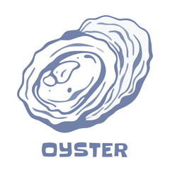 Vintage Hand Drawn Oyster Shellfish Line Art Vector Illustration for Restaurant Menu and T-Shirt Design © klyra illustration